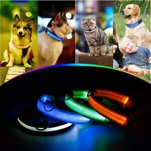 ⛔️CLEARANCE ⛔️LED Night Jog Dog Collar
